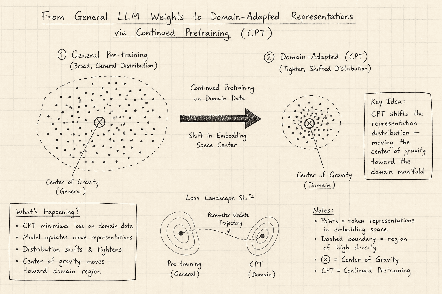 Diagram illustrating the shift from general LLM weights to domain-adapted representations via continued pretraining.